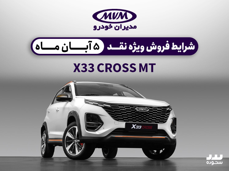 X33-Cross-Mt-08-5
